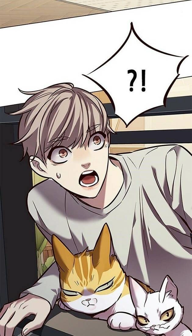 Hoá Thân Thành Mèo Chapter 220 - 2