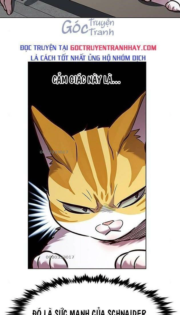 Hoá Thân Thành Mèo Chapter 220 - 3