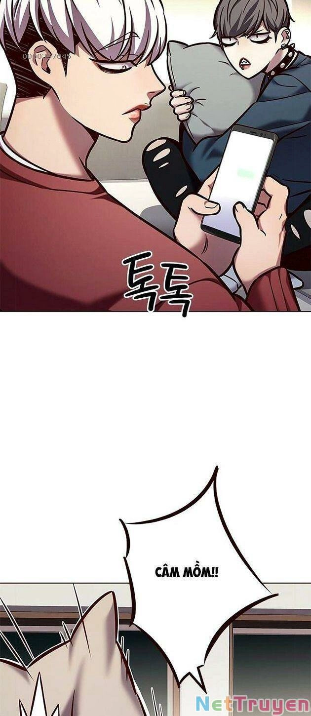 Hoá Thân Thành Mèo Chapter 223 - 29