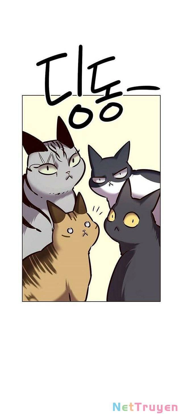 Hoá Thân Thành Mèo Chapter 223 - 33