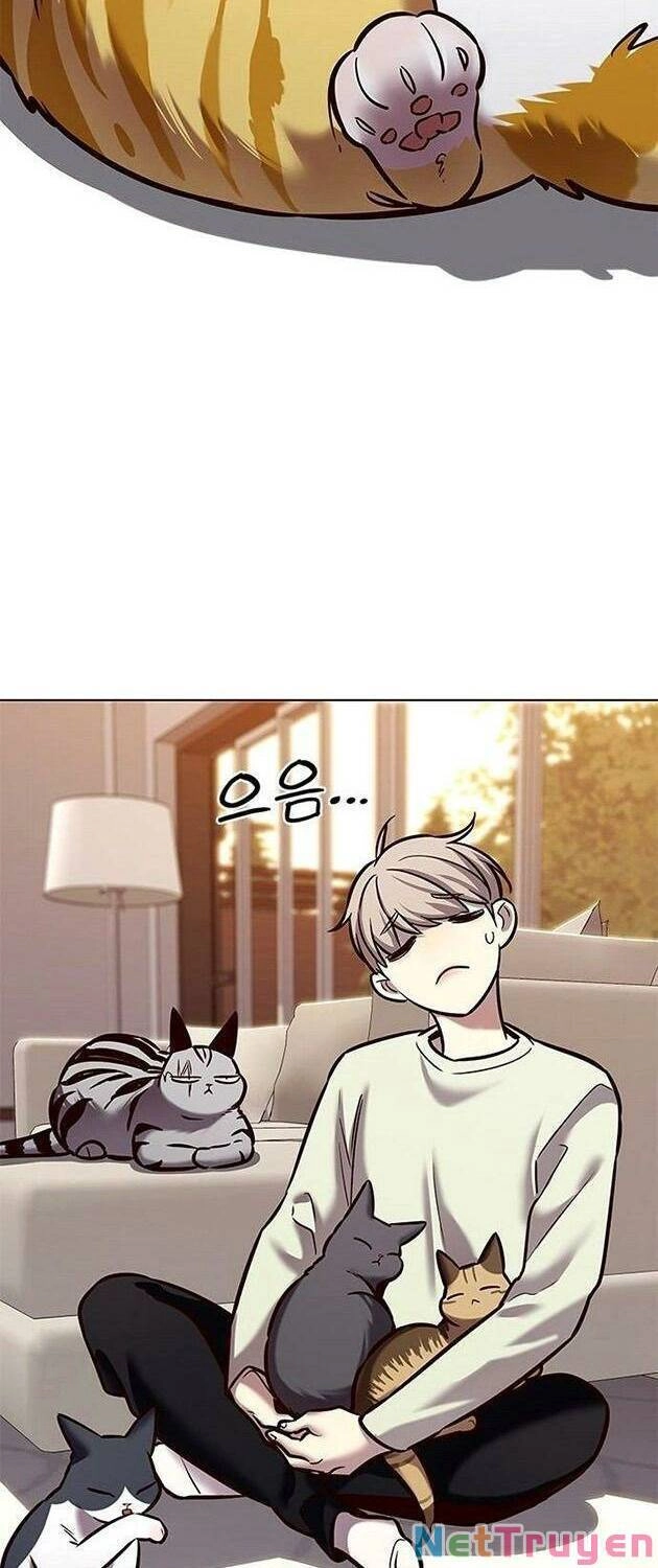 Hoá Thân Thành Mèo Chapter 225 - 42