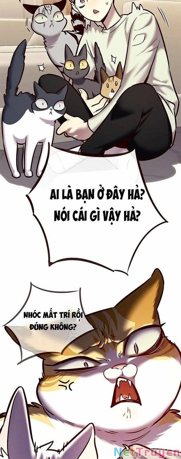 Hoá Thân Thành Mèo Chapter 225 - 45