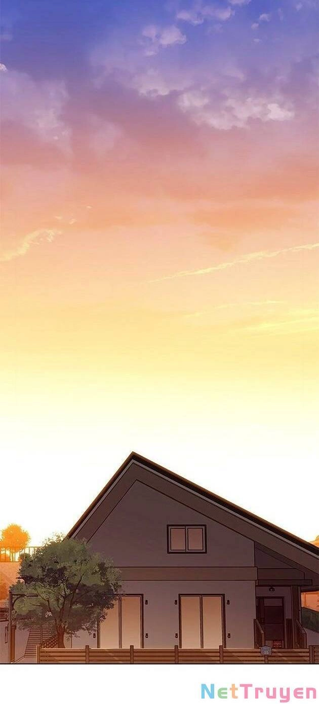 Hoá Thân Thành Mèo Chapter 226 - 50