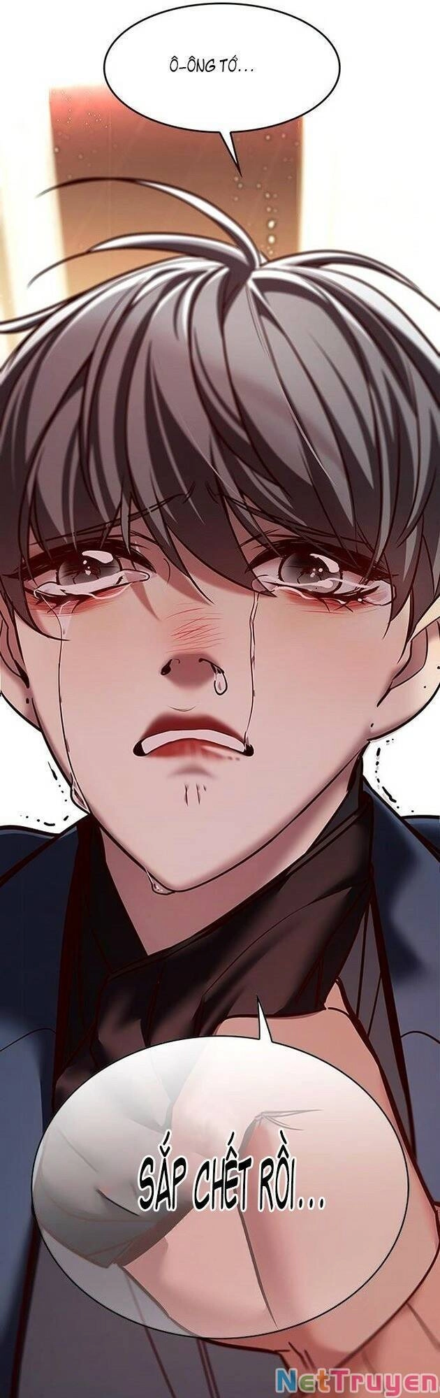 Hoá Thân Thành Mèo Chapter 226 - 75