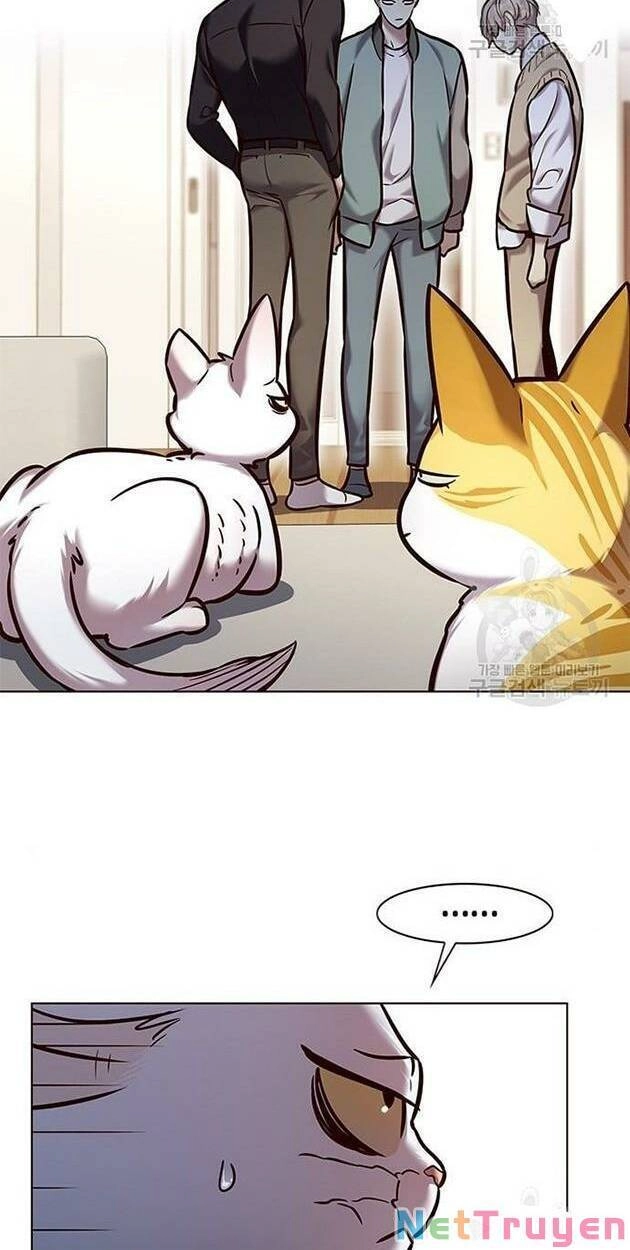 Hoá Thân Thành Mèo Chapter 228 - 4