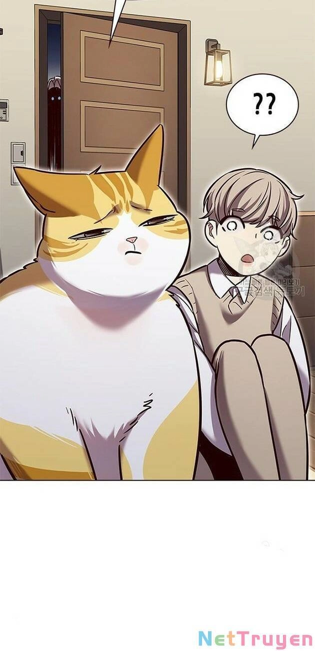 Hoá Thân Thành Mèo Chapter 228 - 14