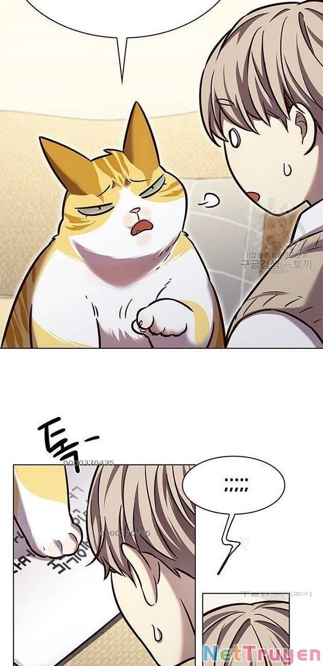 Hoá Thân Thành Mèo Chapter 228 - 17