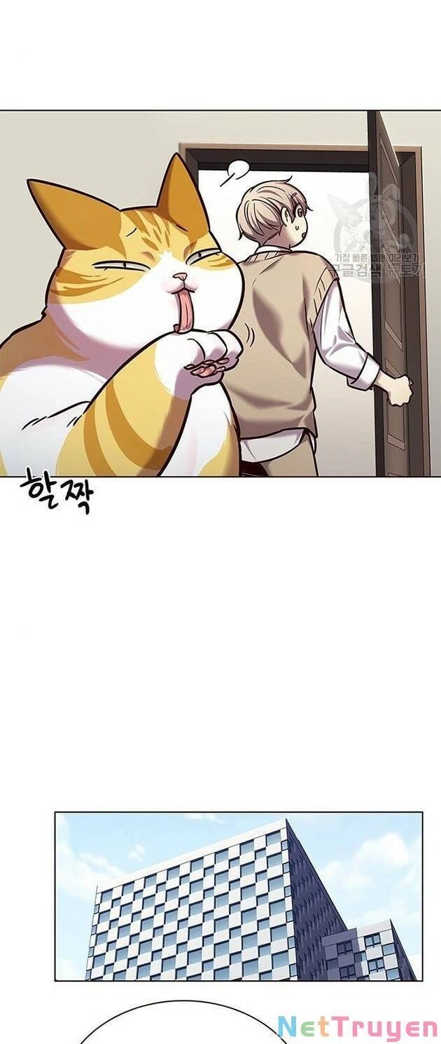 Hoá Thân Thành Mèo Chapter 228 - 23