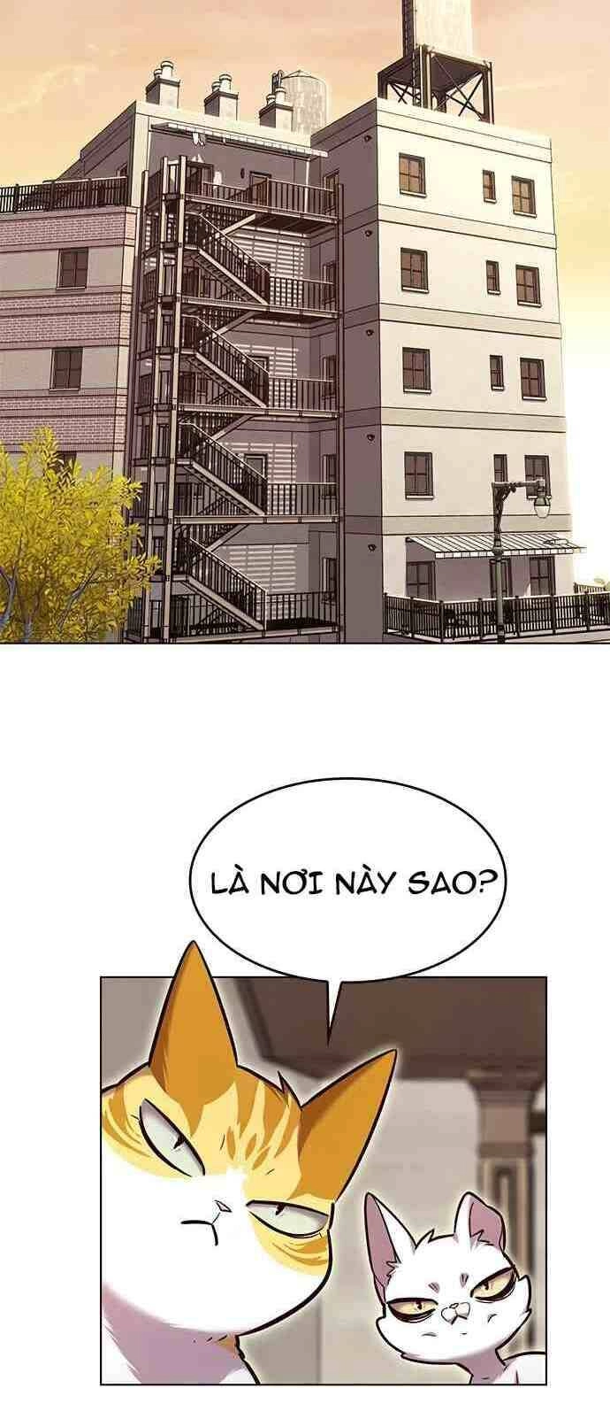 Hoá Thân Thành Mèo Chapter 231 - 23