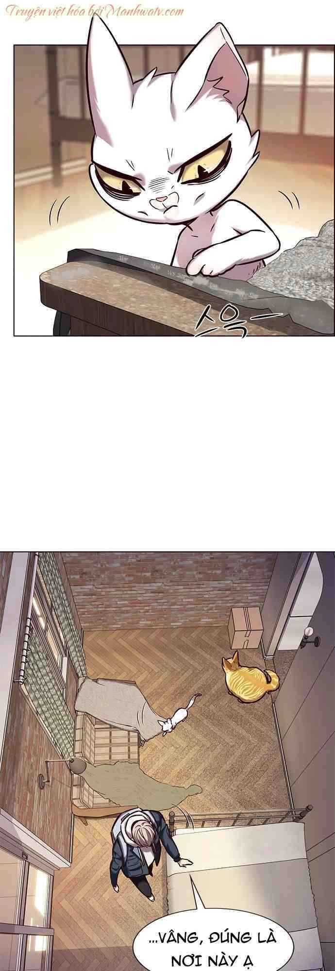 Hoá Thân Thành Mèo Chapter 231 - 35