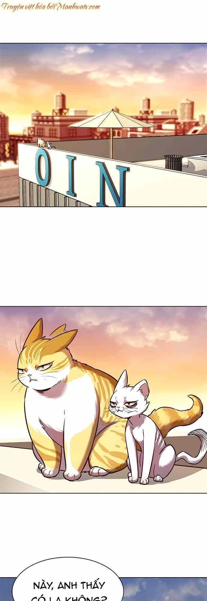 Hoá Thân Thành Mèo Chapter 232 - 34