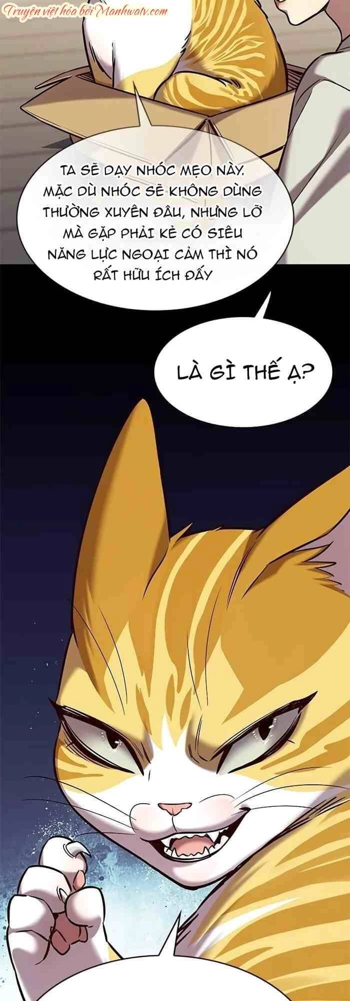 Hoá Thân Thành Mèo Chapter 236 - 46