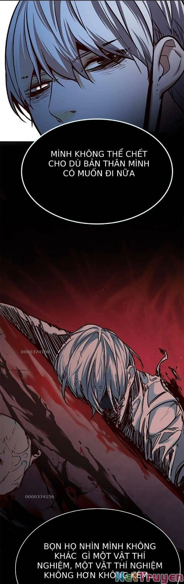 Hoá Thân Thành Mèo Chapter 238 - 41