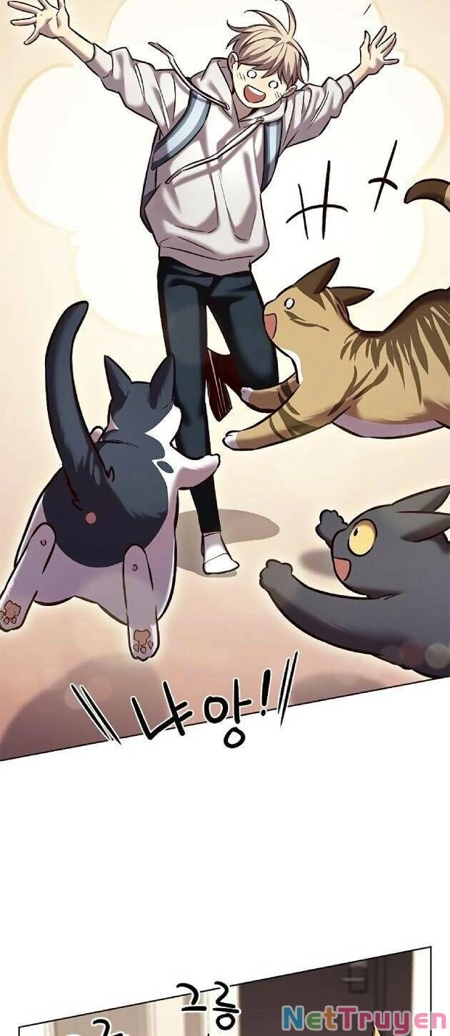 Hoá Thân Thành Mèo Chapter 239 - 2