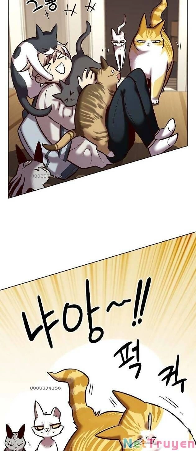 Hoá Thân Thành Mèo Chapter 239 - 3