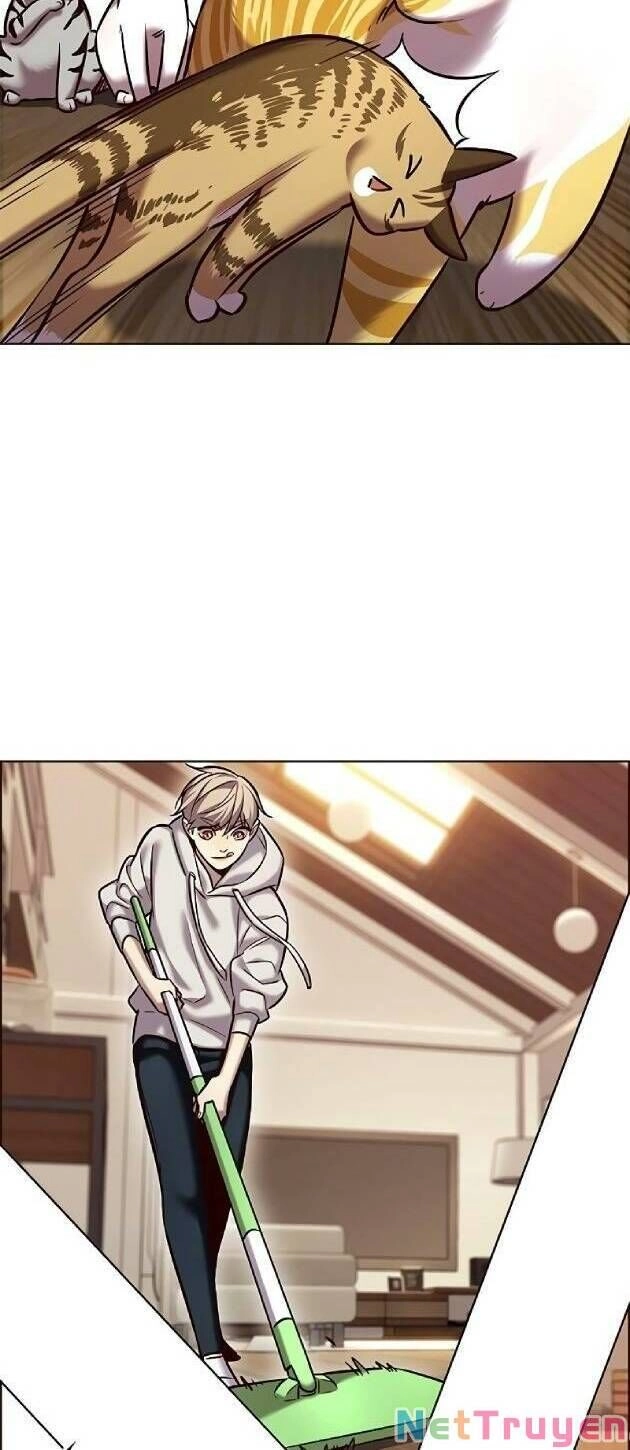 Hoá Thân Thành Mèo Chapter 239 - 4