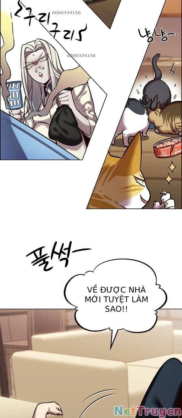 Hoá Thân Thành Mèo Chapter 239 - 5