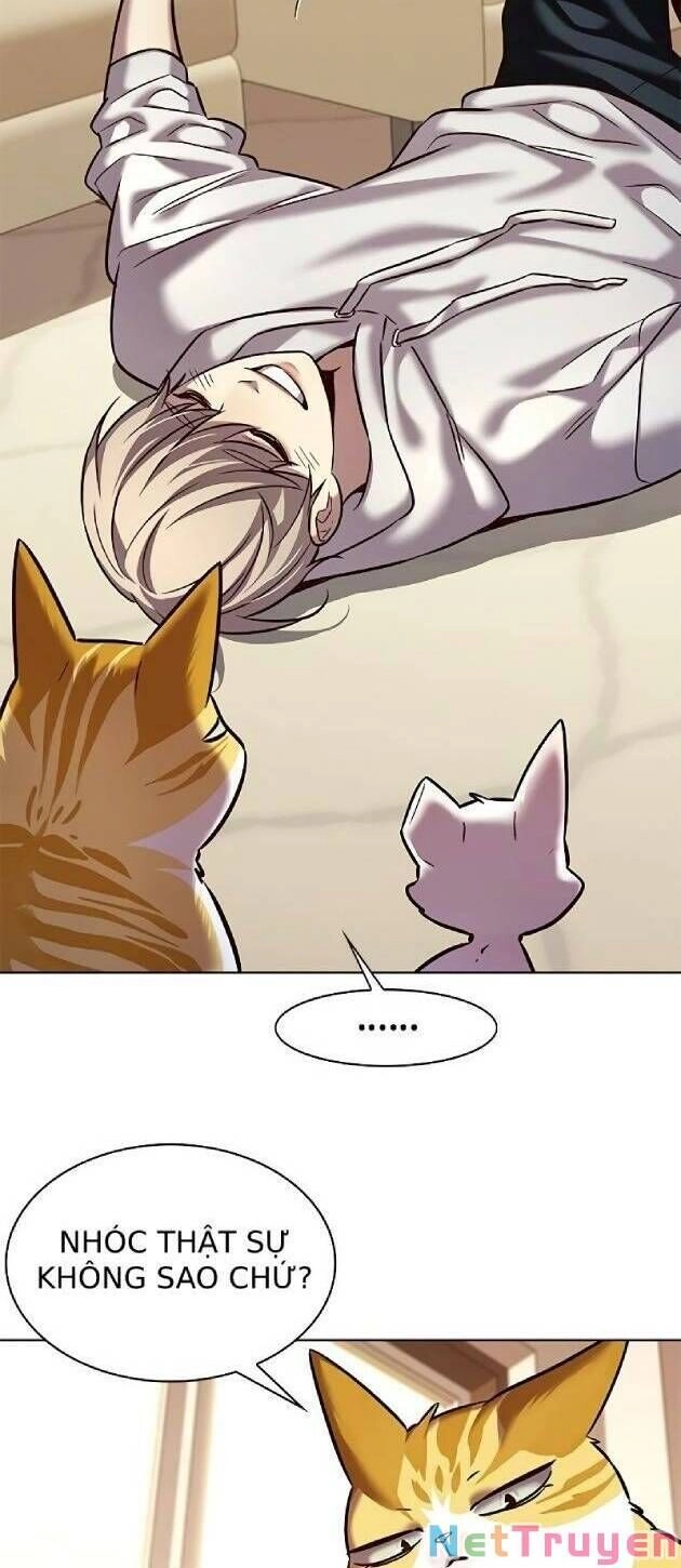 Hoá Thân Thành Mèo Chapter 239 - 6