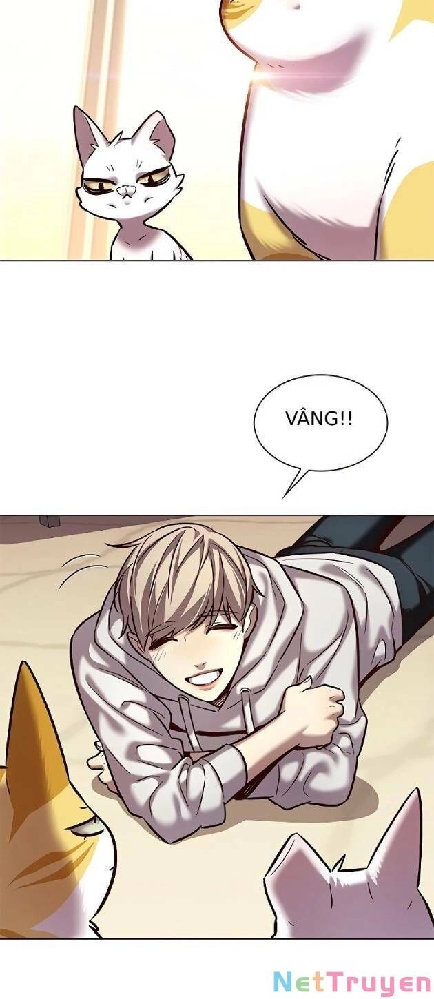 Hoá Thân Thành Mèo Chapter 239 - 7