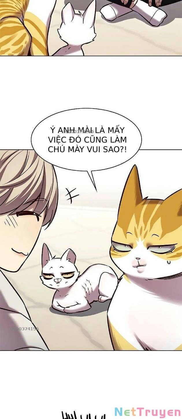 Hoá Thân Thành Mèo Chapter 239 - 15