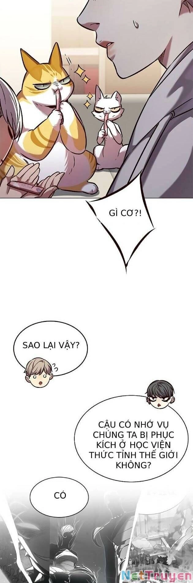 Hoá Thân Thành Mèo Chapter 239 - 22