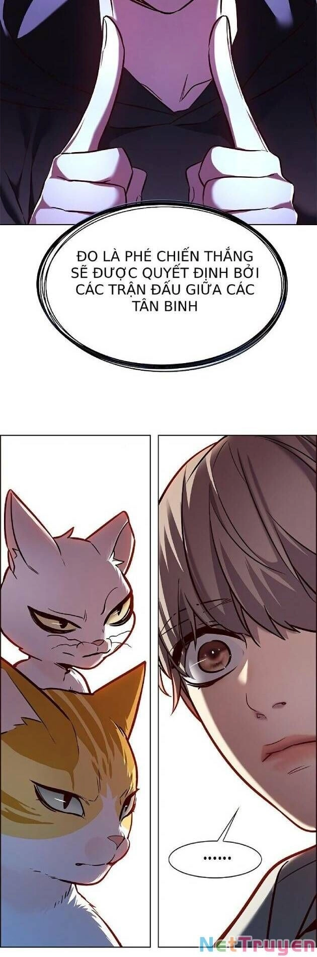 Hoá Thân Thành Mèo Chapter 239 - 24