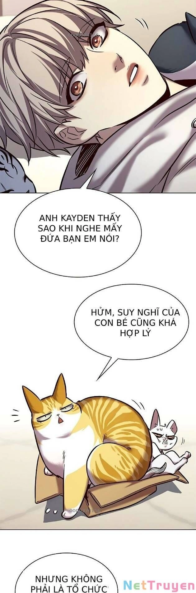 Hoá Thân Thành Mèo Chapter 239 - 31