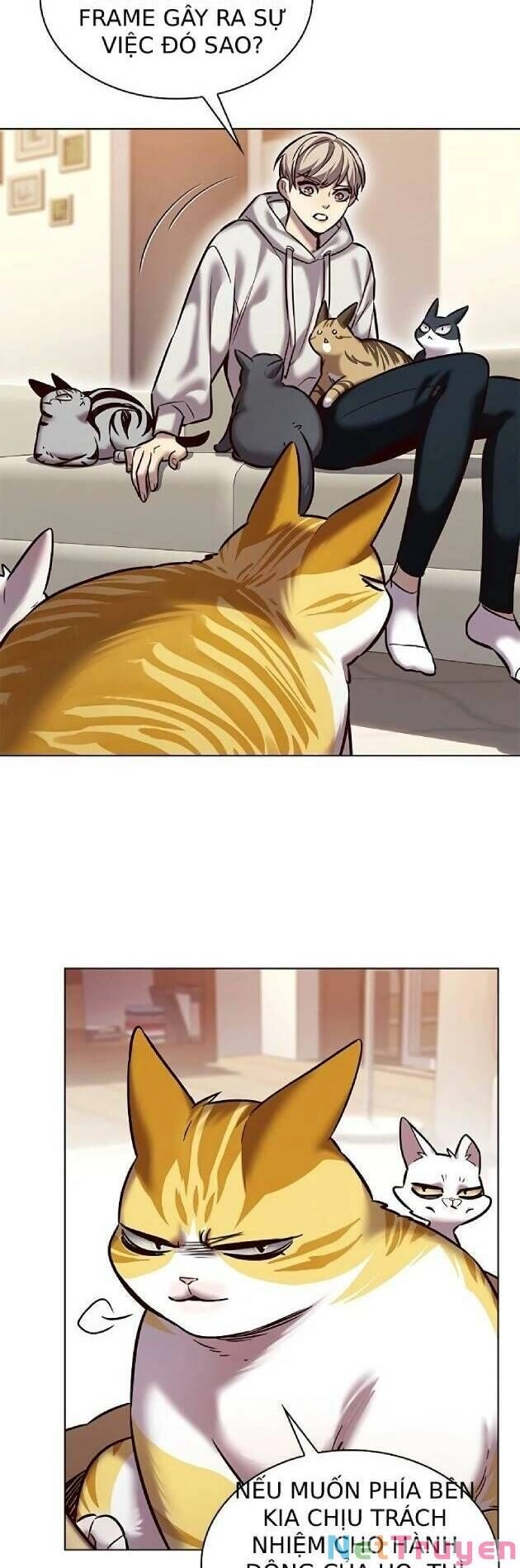 Hoá Thân Thành Mèo Chapter 239 - 32