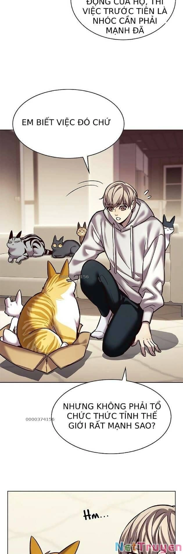 Hoá Thân Thành Mèo Chapter 239 - 33