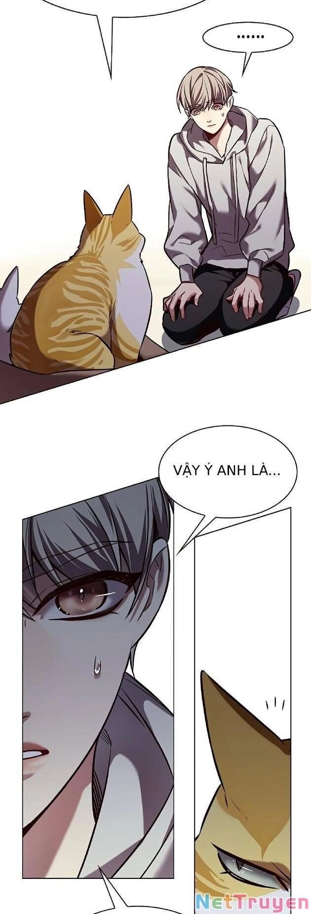 Hoá Thân Thành Mèo Chapter 239 - 41