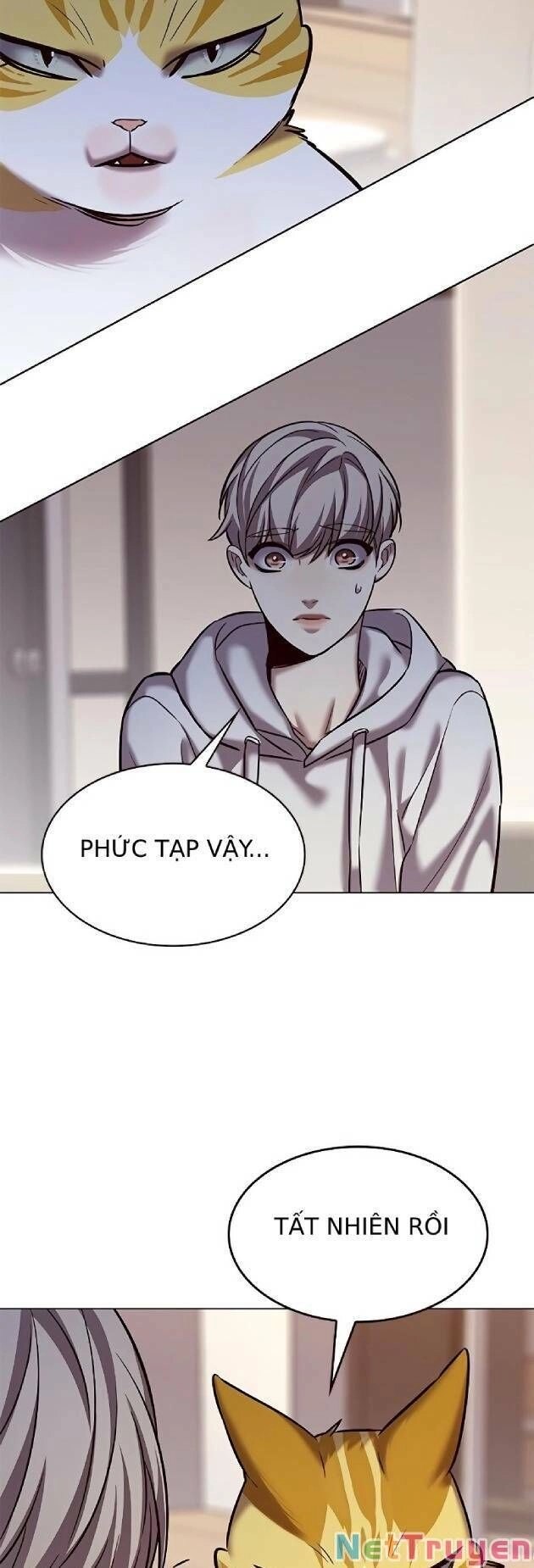 Hoá Thân Thành Mèo Chapter 239 - 43