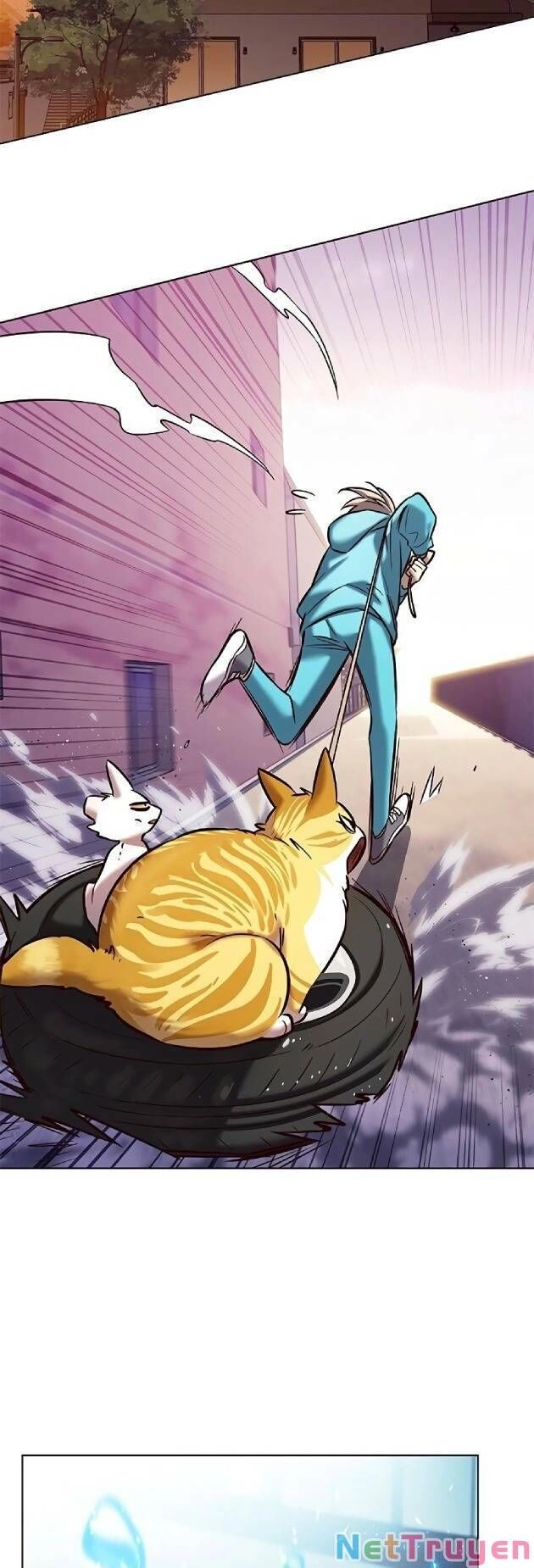 Hoá Thân Thành Mèo Chapter 239 - 47