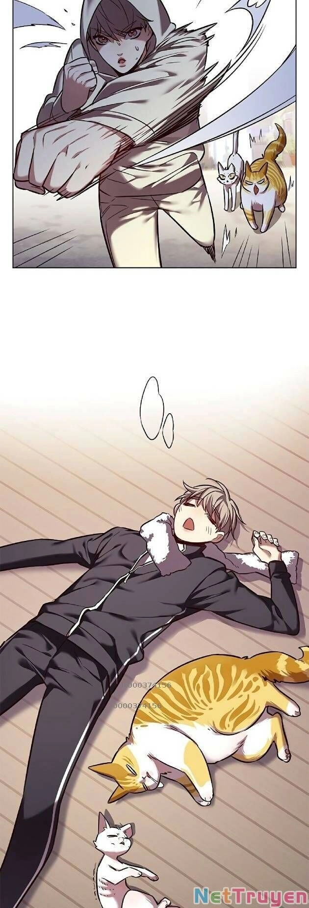 Hoá Thân Thành Mèo Chapter 239 - 49