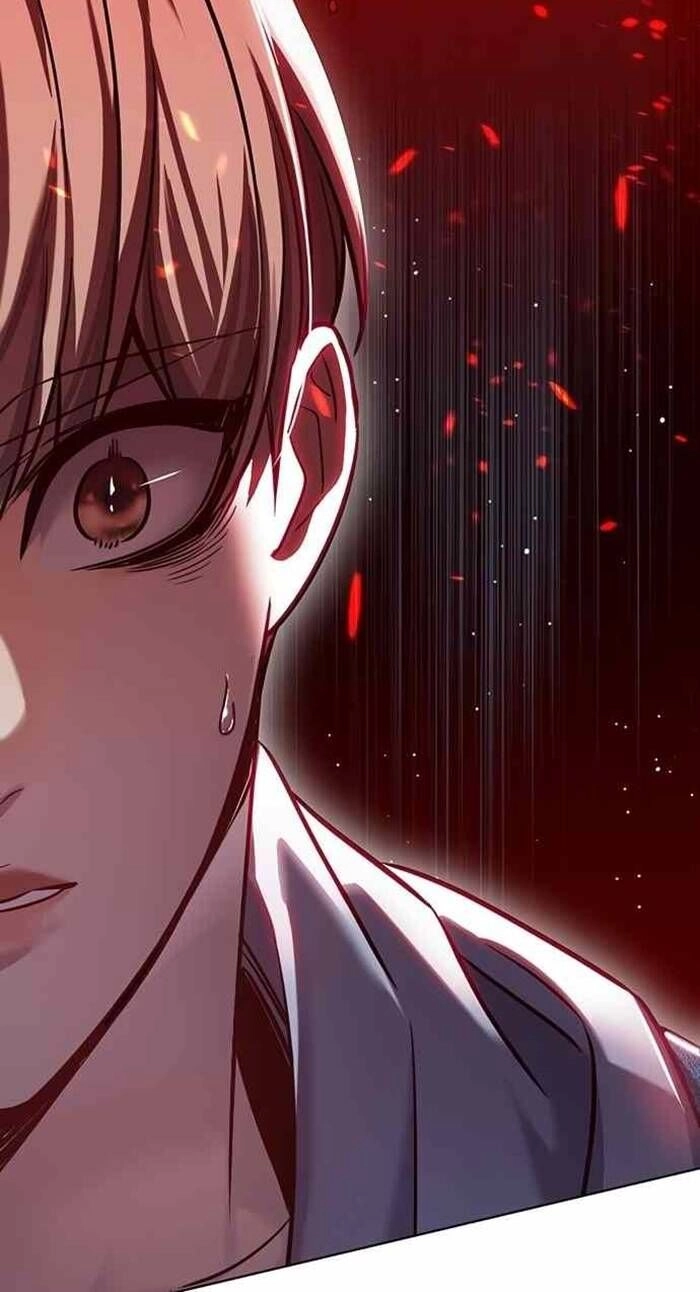 Hoá Thân Thành Mèo Chapter 240 - 16