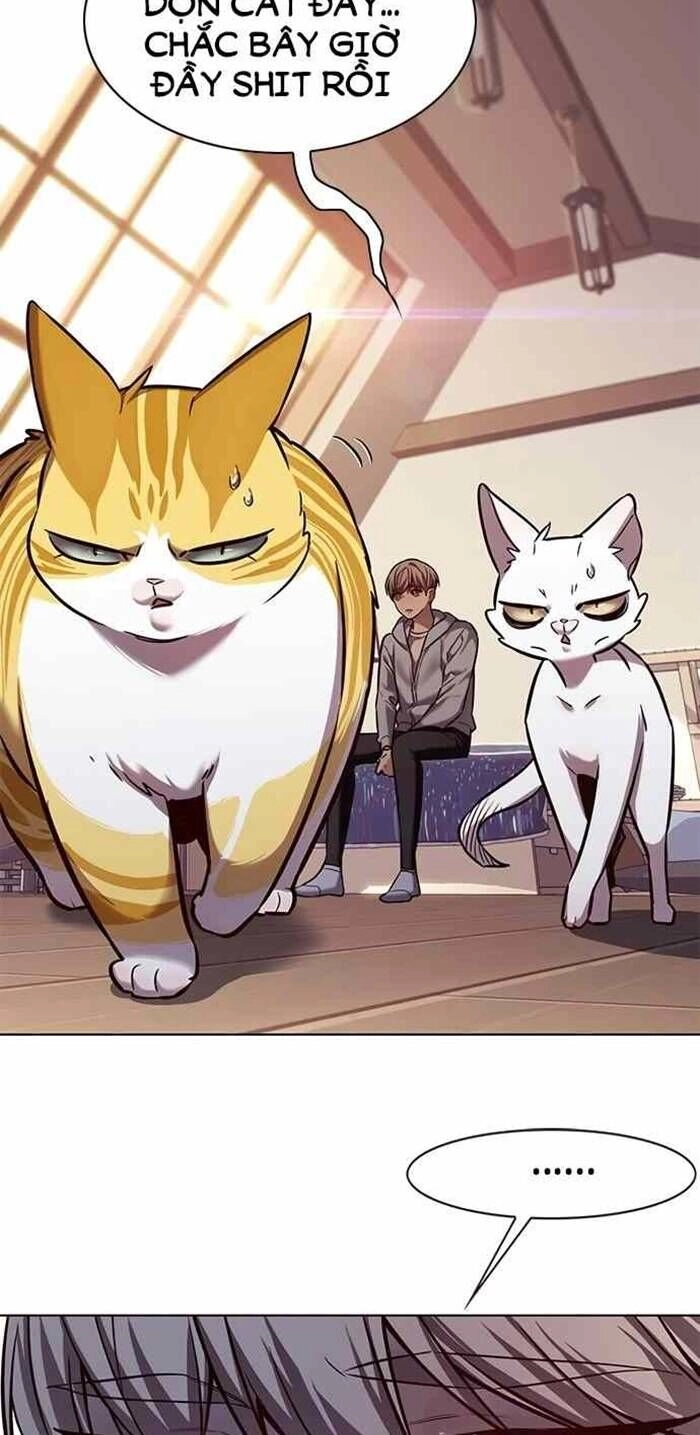 Hoá Thân Thành Mèo Chapter 240 - 48