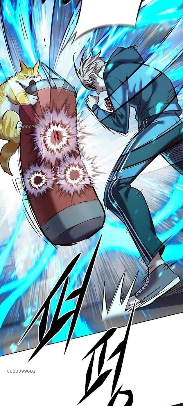 Hoá Thân Thành Mèo Chapter 241 - 11