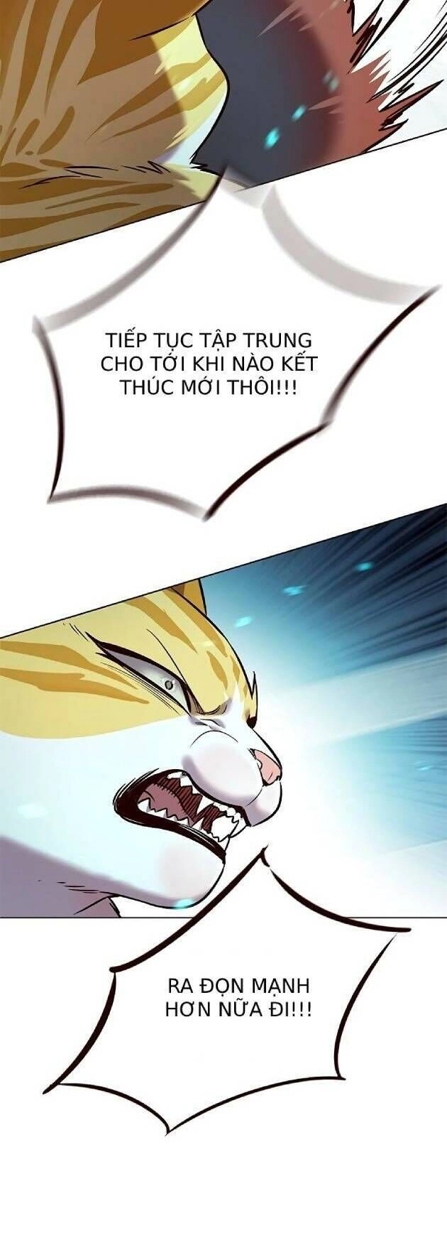 Hoá Thân Thành Mèo Chapter 241 - 18