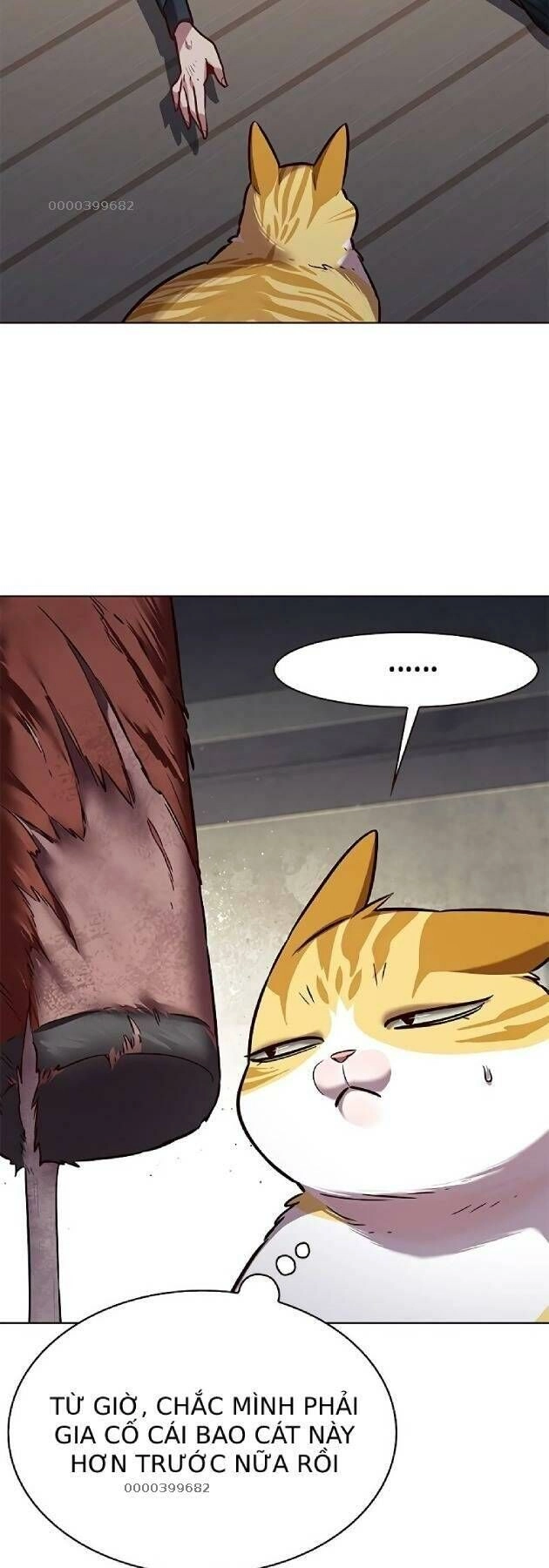 Hoá Thân Thành Mèo Chapter 241 - 27