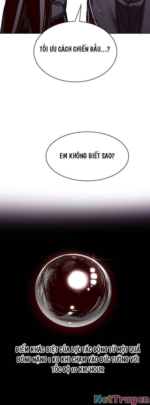 Hoá Thân Thành Mèo Chapter 243 - 13