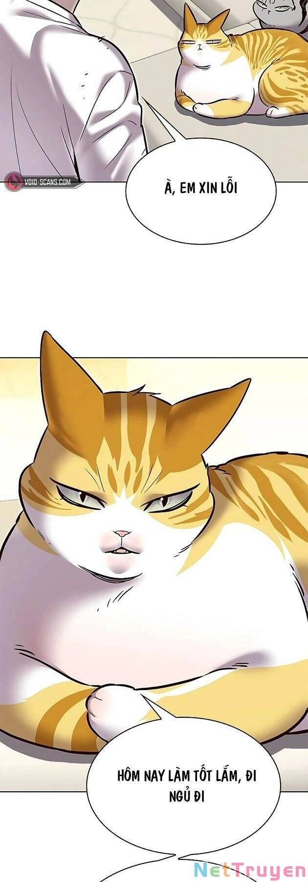 Hoá Thân Thành Mèo Chapter 243 - 60