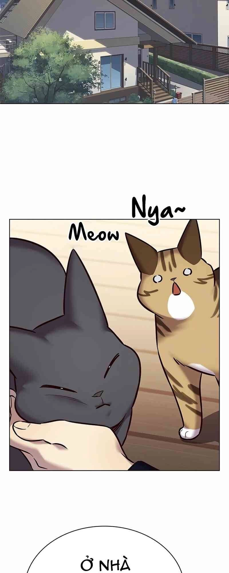 Hoá Thân Thành Mèo Chapter 244 - 41