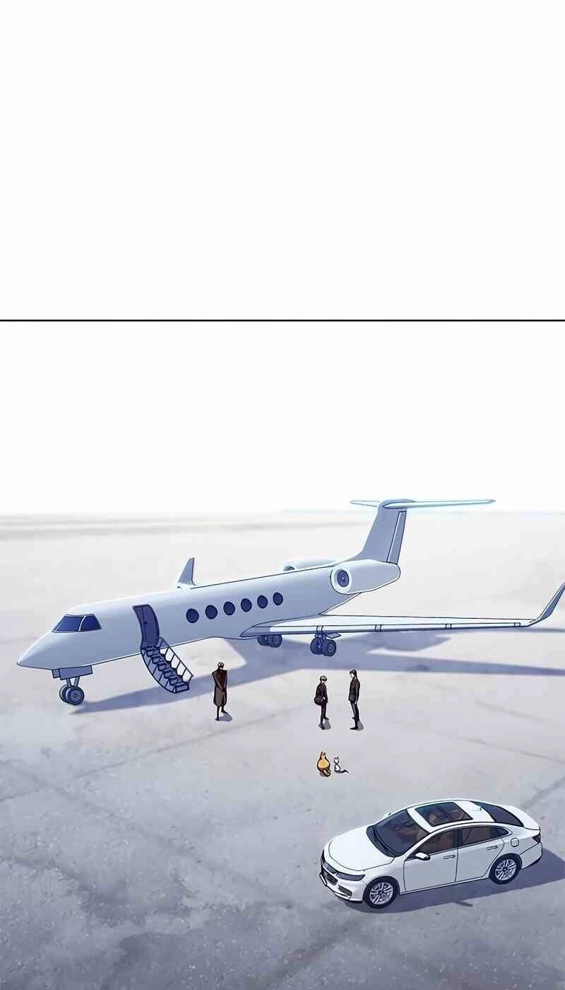 Hoá Thân Thành Mèo Chapter 244 - 58