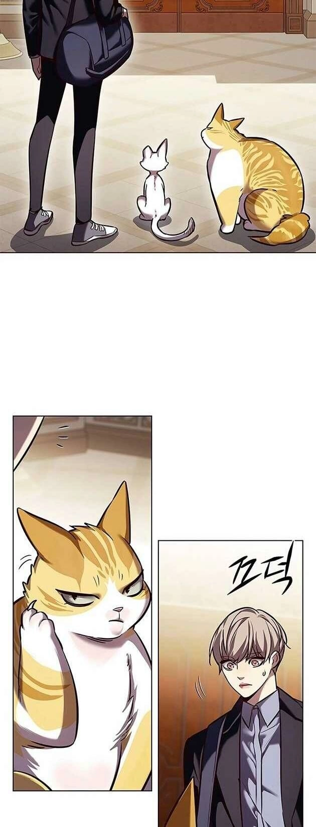 Hoá Thân Thành Mèo Chapter 245 - 31