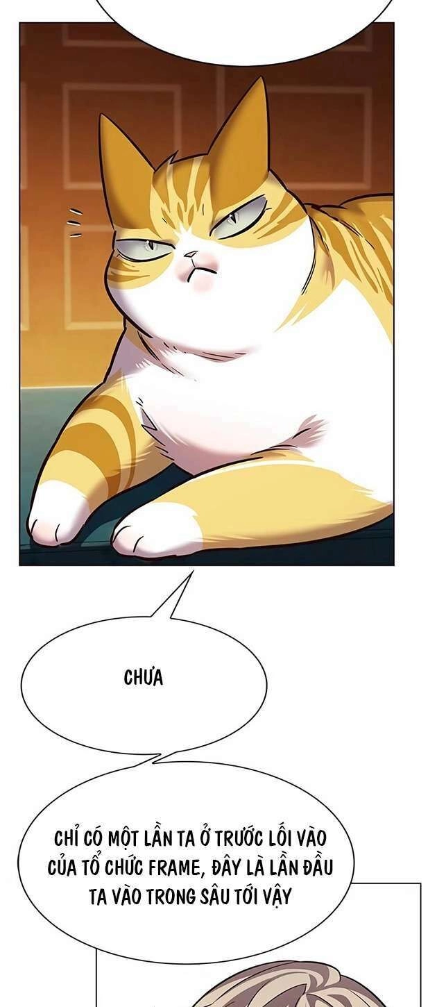 Hoá Thân Thành Mèo Chapter 245 - 42