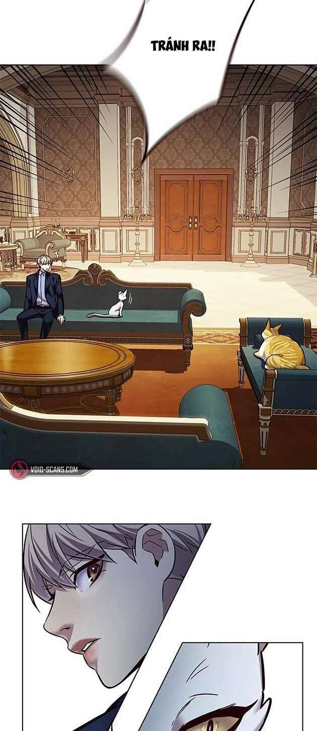 Hoá Thân Thành Mèo Chapter 245 - 47