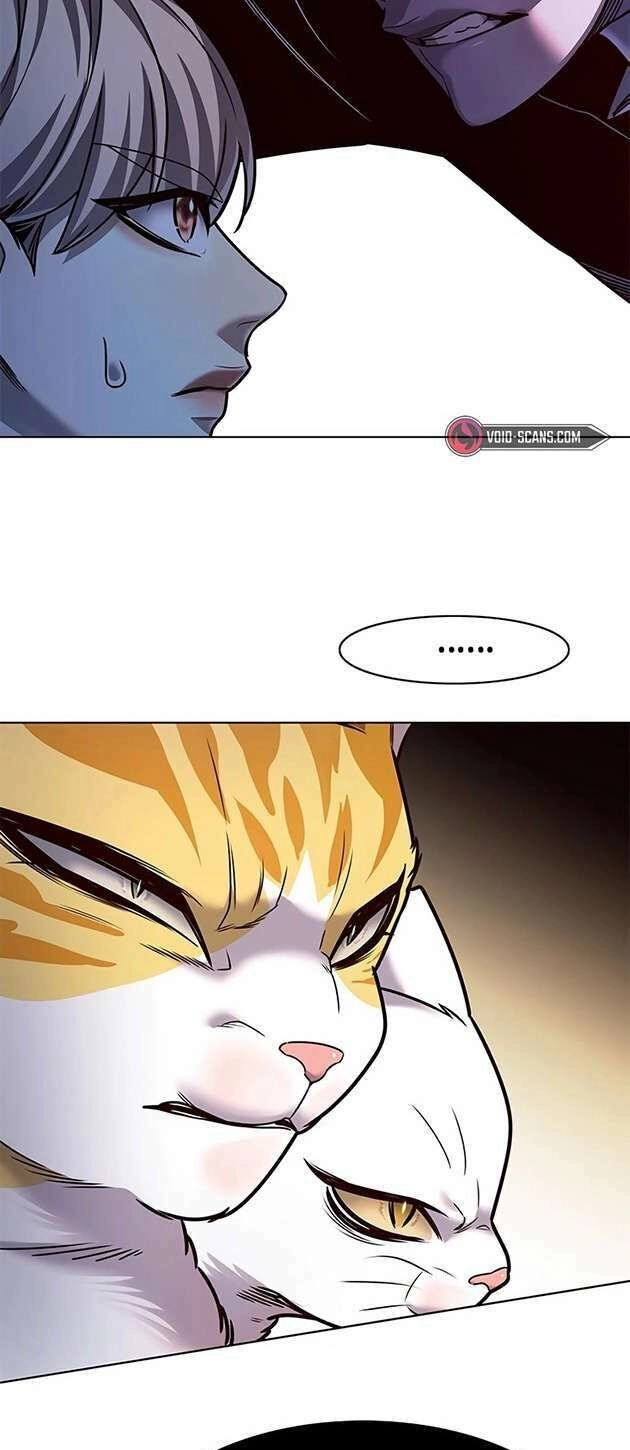 Hoá Thân Thành Mèo Chapter 245 - 54