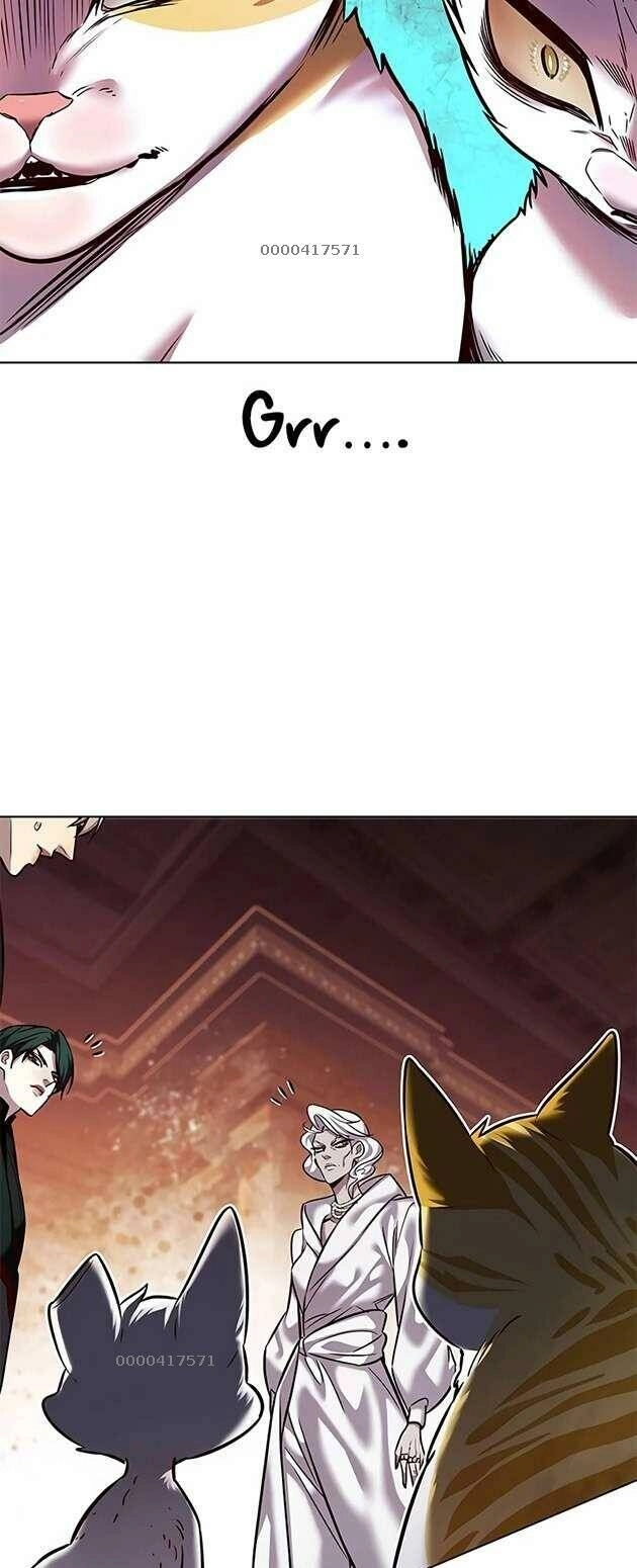 Hoá Thân Thành Mèo Chapter 246 - 17