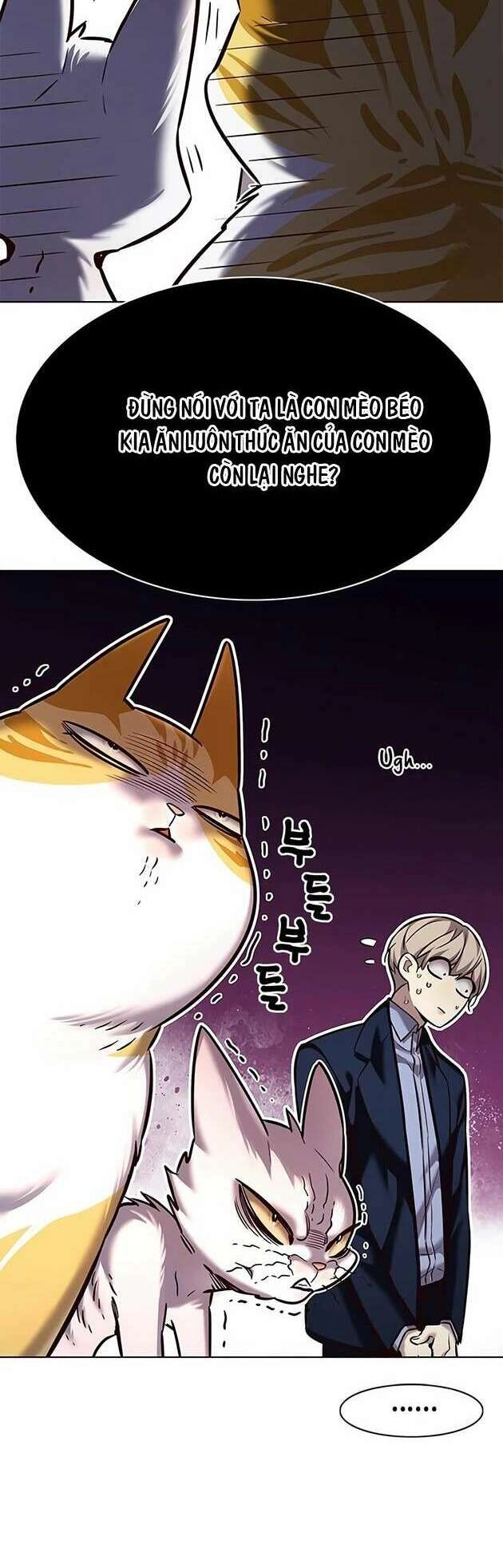 Hoá Thân Thành Mèo Chapter 246 - 20