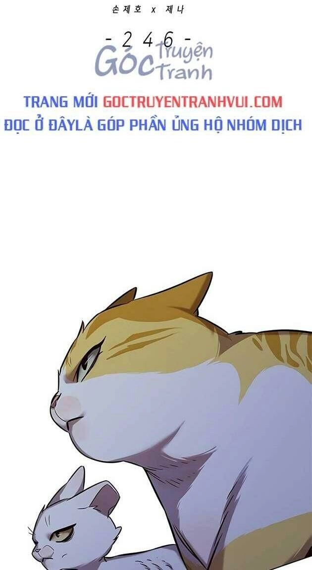 Hoá Thân Thành Mèo Chapter 246 - 38