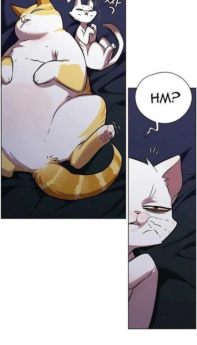 Hoá Thân Thành Mèo Chapter 246 - 59